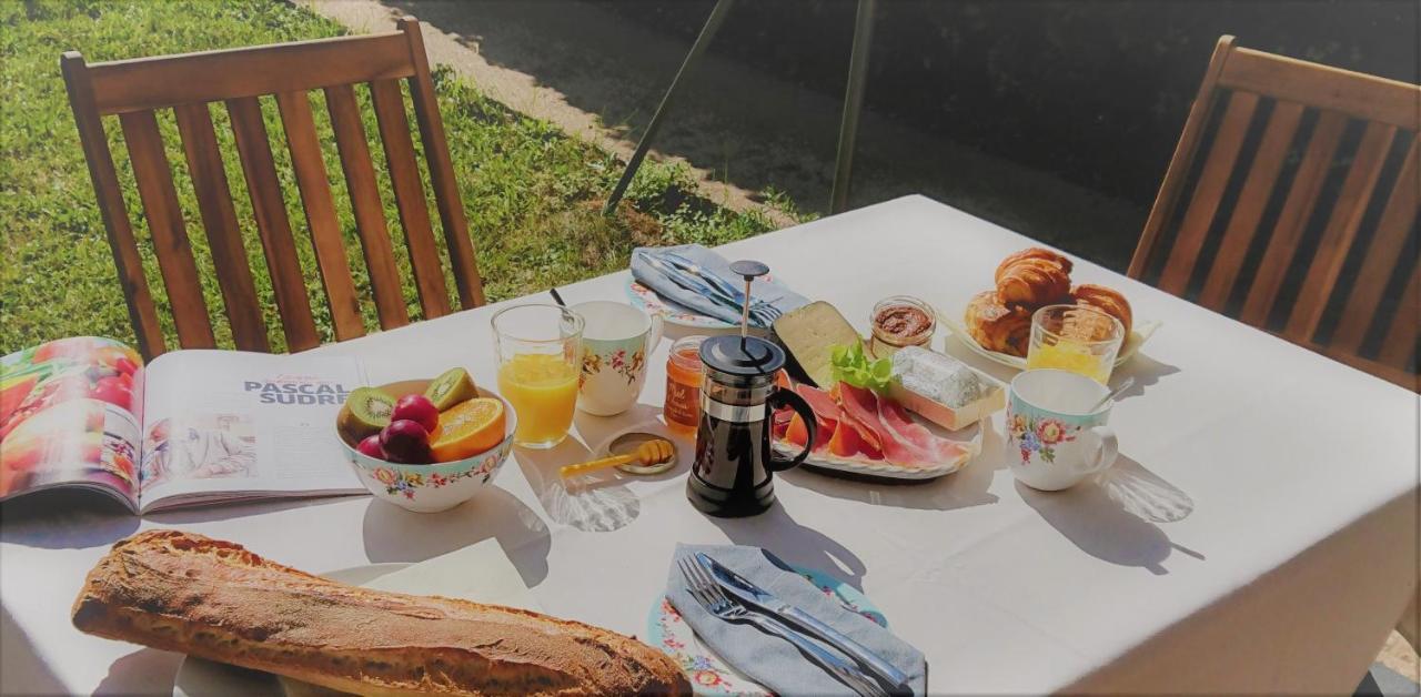 Fleurs De Cosmos Bed & Breakfast Albi Ngoại thất bức ảnh