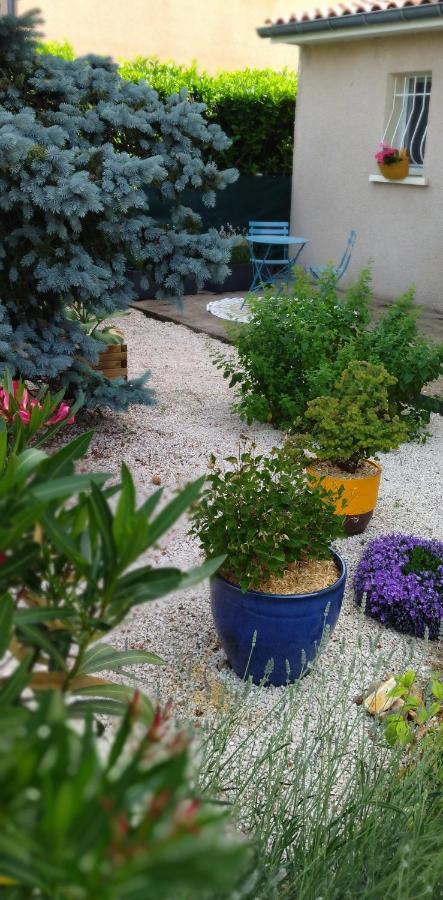 Fleurs De Cosmos Bed & Breakfast Albi Ngoại thất bức ảnh