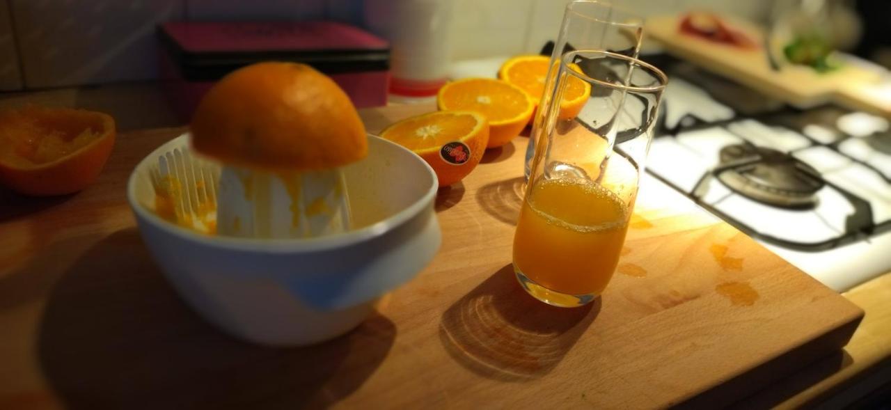 Fleurs De Cosmos Bed & Breakfast Albi Ngoại thất bức ảnh
