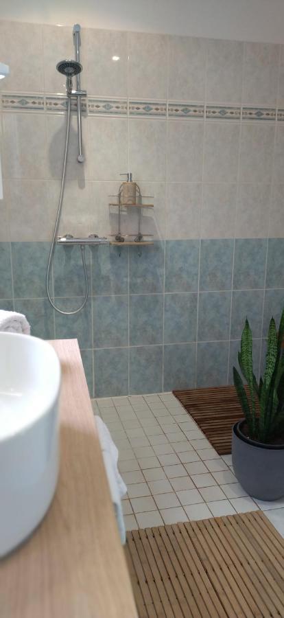 Fleurs De Cosmos Bed & Breakfast Albi Ngoại thất bức ảnh