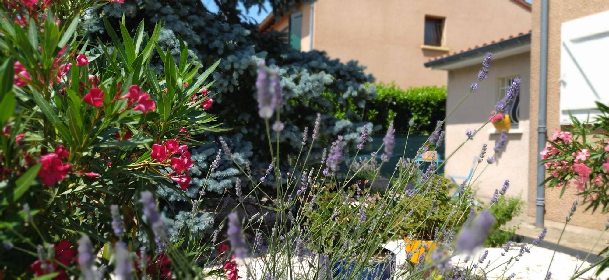 Fleurs De Cosmos Bed & Breakfast Albi Ngoại thất bức ảnh